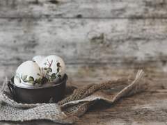 2학년~ing 미쉬카와 대화