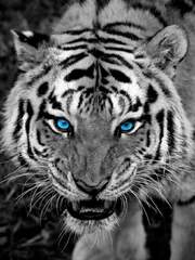 사(四)의 환란(患亂)