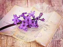 [긴히지] 닿지 못할 편지 2