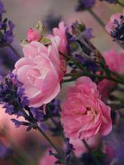 러셀 레이너드의 노트