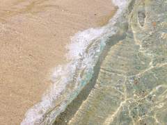 [现代组]爱情笨蛋（上）