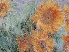 이 과도한 行을