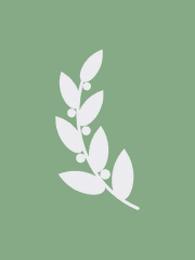 엑토르 프레데리크 로리에