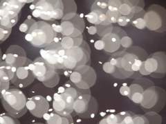 menschlich, zu menschlich