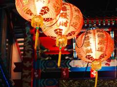 [장경고윤] L'Oiseau bleu