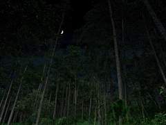 복학생 소나타 02