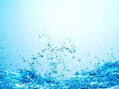 풍요로운 비극 4