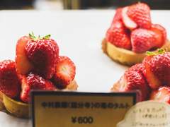 나, 진심이라니까.