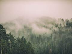 지구는 행동하는 "별" 이라 했다.