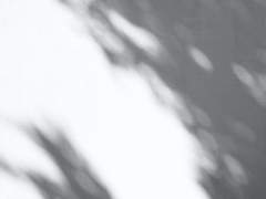 구원의 반대말 1