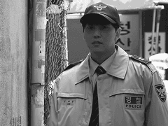 태주해영 서사 및 드림주 정보