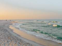 여름 그 가운데