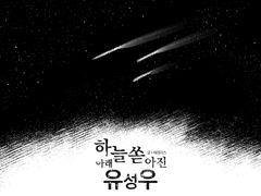 [하리보] 하늘 아래 쏟아진 유성우