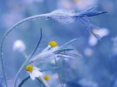 [플래쉬버스/아이에드] 에드먼드의 선택