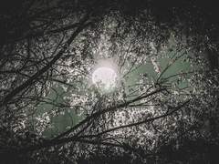 [하이큐상황문답]아카아시가 내 호위무사라면