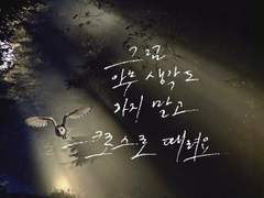 [글씨] 아카아시 케이지