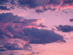 스쳐 지나가는 것