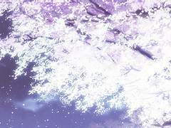 [익준송화] Spring Forever