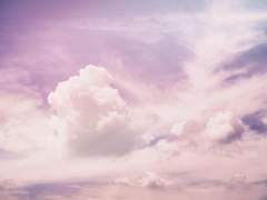 One brilliant summer day