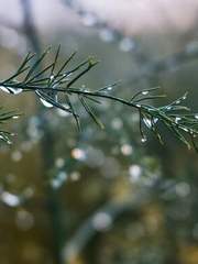 문스독 2차 연성