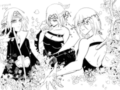 아카츠키 사쿠라 프로젝트