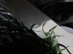 【5】 변기에 앉아 드는 생각