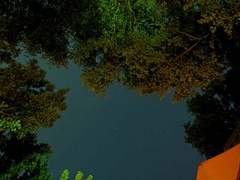 [마블_로키 오딘슨 드림] 한 마디