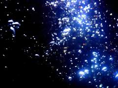 [경의금릉] kiss it better