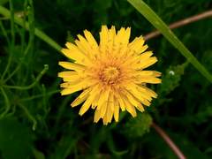 프롤로그: 나의 악마는 악의 원천