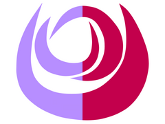 에델슈타인과 귀가