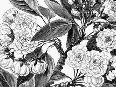 [단편] D-Day 추천 W.칼탄