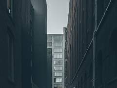 [상일은창] 검문(결제X)