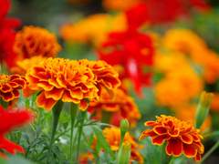 [긴이즈] 뒷모습