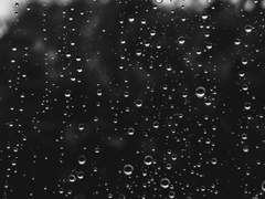 [루드릭] Burning bridges 上