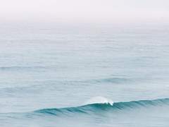 댕햄 포타 추천