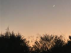 히나타가 회장이라고?!?!-2