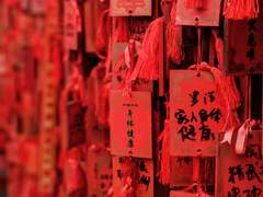 [장경고윤] 사랑의 이름으로