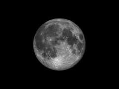 쿄크롬 로판AU (w.팡팡이님)