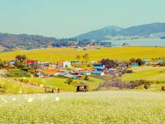 [슈짐] 슈가네 구멍가게 에필로그