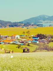 슈가네 구멍가게