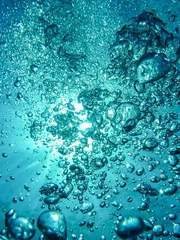 [트위스테] 상어를 사냥한 날