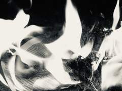 [수호인우] 𝑱𝒖𝒔𝒕 𝒖𝒔𝒆 𝒊𝒕