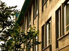 호소다랑 아라이가 나오는 짧은 글