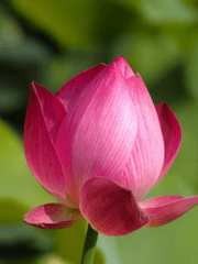 고소와 운몽 사이