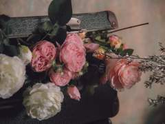 알레이나 로페즈