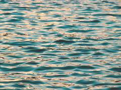 자기소개서를 쓰는 법