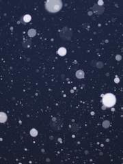 황금의 관은 누구에게