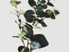 홍콩 쌈마이 느와르 자캐