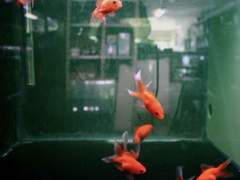 우리는 사랑을 나눈다 무엇을 원하는지도 모르는 채