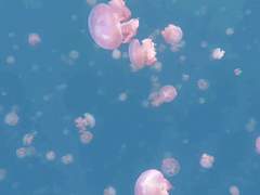 진우설 관계 타로 커미션